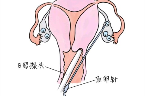 http://nantong.huochezhan.net/post/205.html|南通供卵助孕
