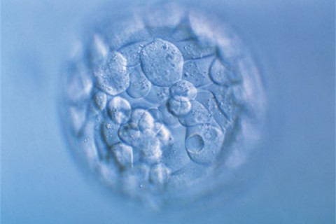 http://nantong.huochezhan.net/post/200.html|南通新闻中心