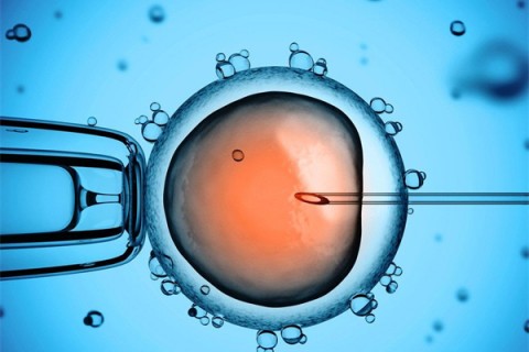 http://nantong.huochezhan.net/post/199.html|南通供卵助孕